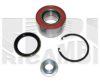 AUTOTEAM RA1509 Wheel Bearing Kit